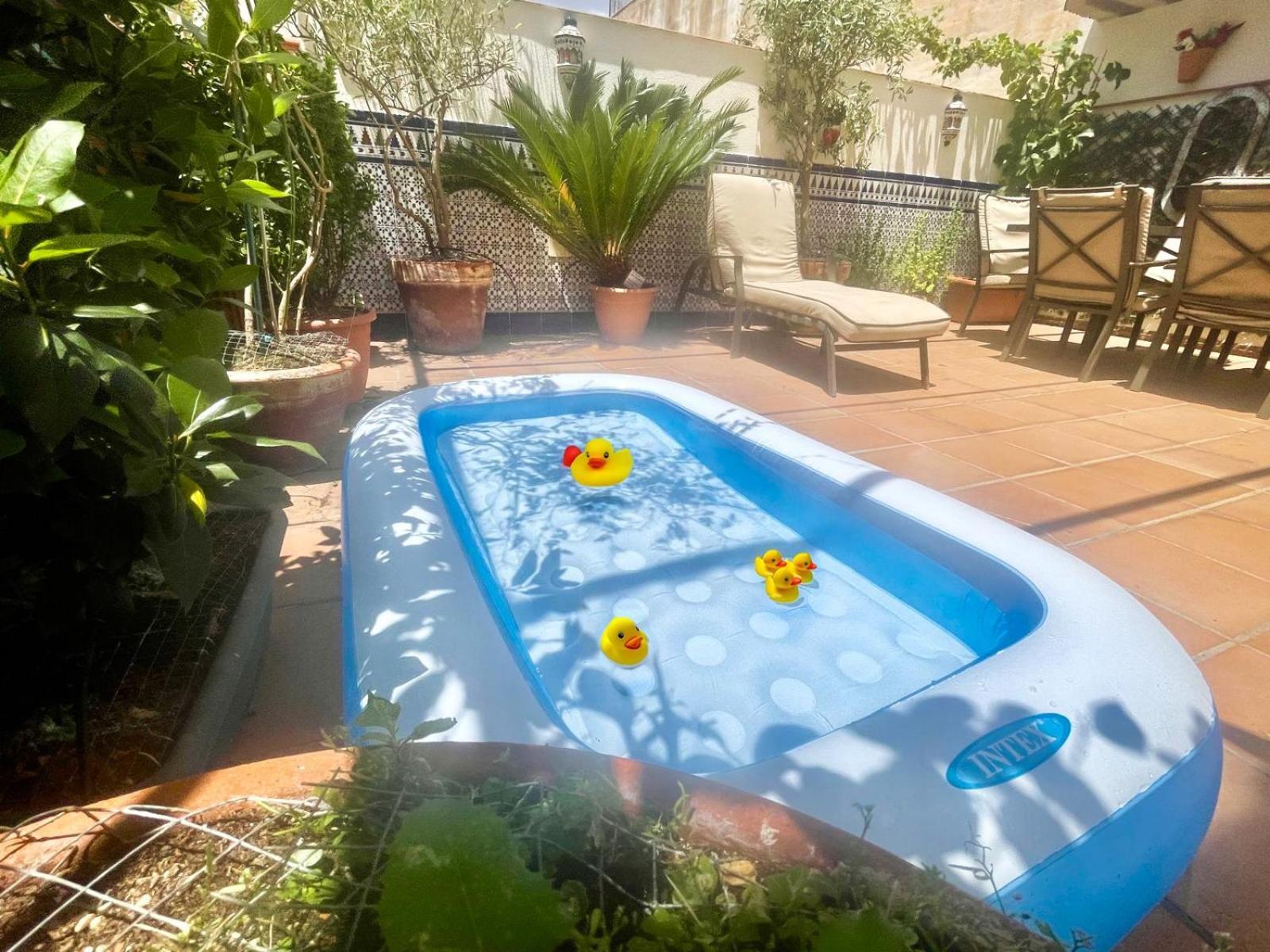 Maravilloso Apartamento Centrico De 70M2, Jardin Propio 40M2 Con Piscina Para Ninos Y Parking Opcional مالقة المظهر الخارجي الصورة